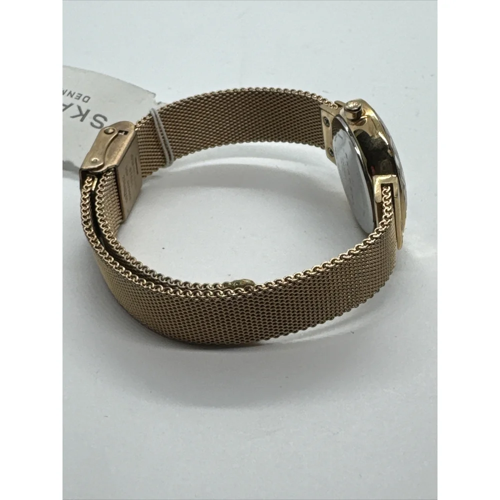 Skagen Leonora 456SRR1 Womens Rose Gold-Tone Steel Mesh Analog Dial Watch AEA155